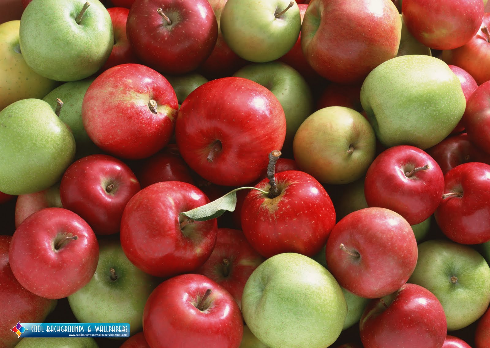 QQ Wallpapers: Fresh Apples HD Wallpaper