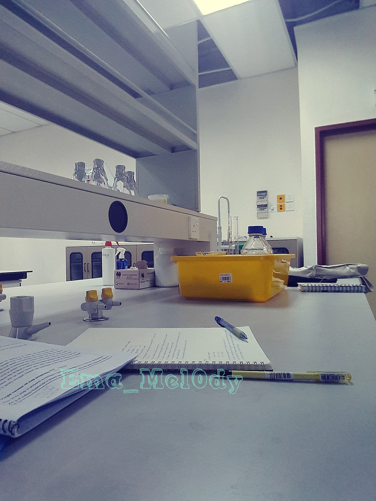 Final Year Project 6 First day lab work Ema's Memoir