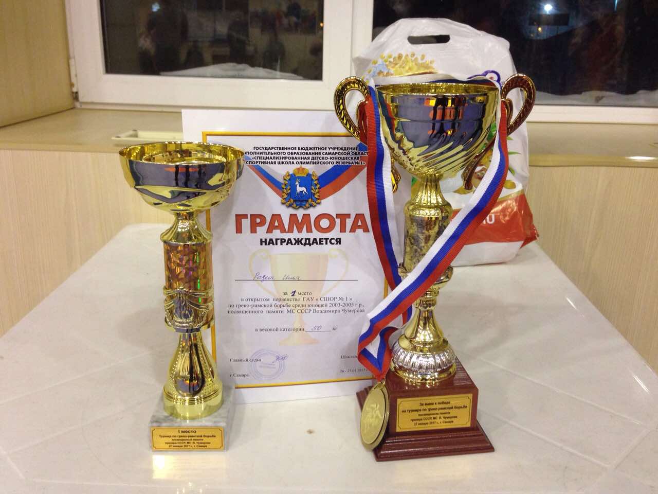 Медаль греко Римская борьба