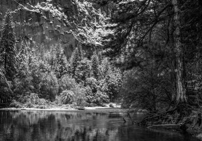 yosemite tree lake