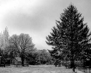 Black/white photo of a winter scene