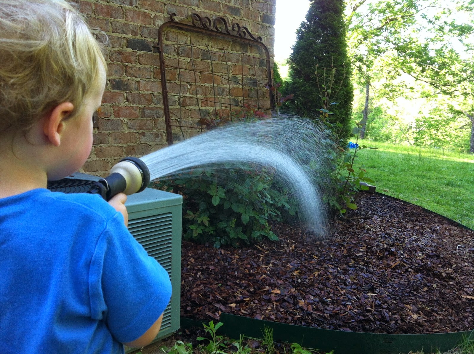 Bee Spring Farm How to Use Cardboard As Mulch