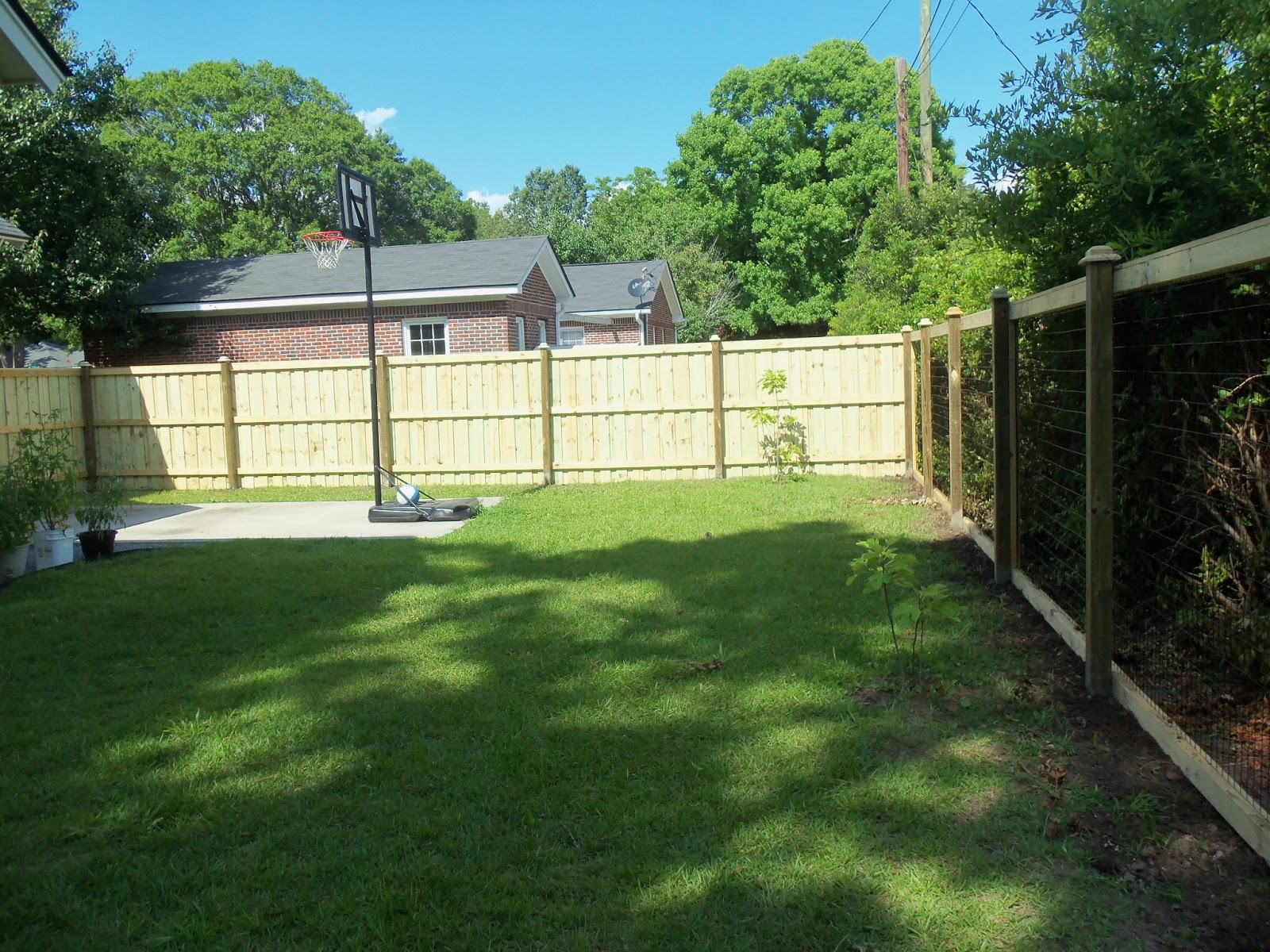 Town & Country Fences, LLC: Living Fences are Becoming Popular