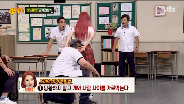 강아지 키우는거에 대한 조이의 마음가짐.jpgif | 인스티즈