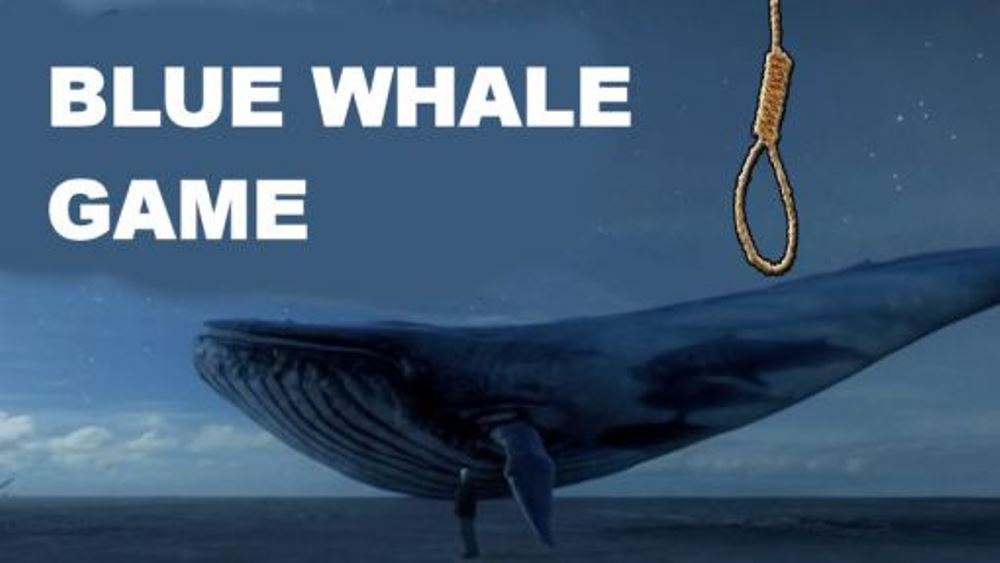 The Blue Whale Game