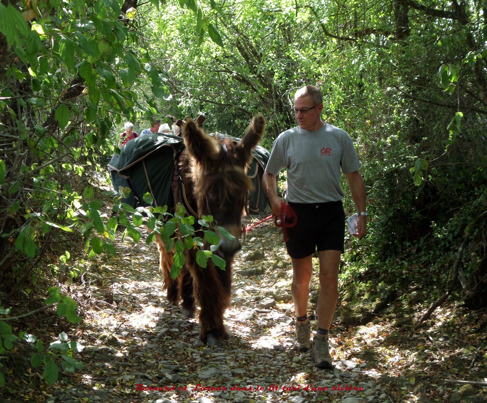 LES MILLEPATTES DE SAINTONGE ASINERIE DE DAMPIERRESURBOUTONNE (17) JOURNÉE RANDOPIQUE