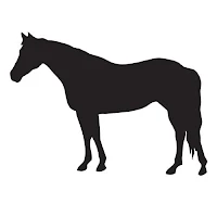 equine-silhuete-icon-linear