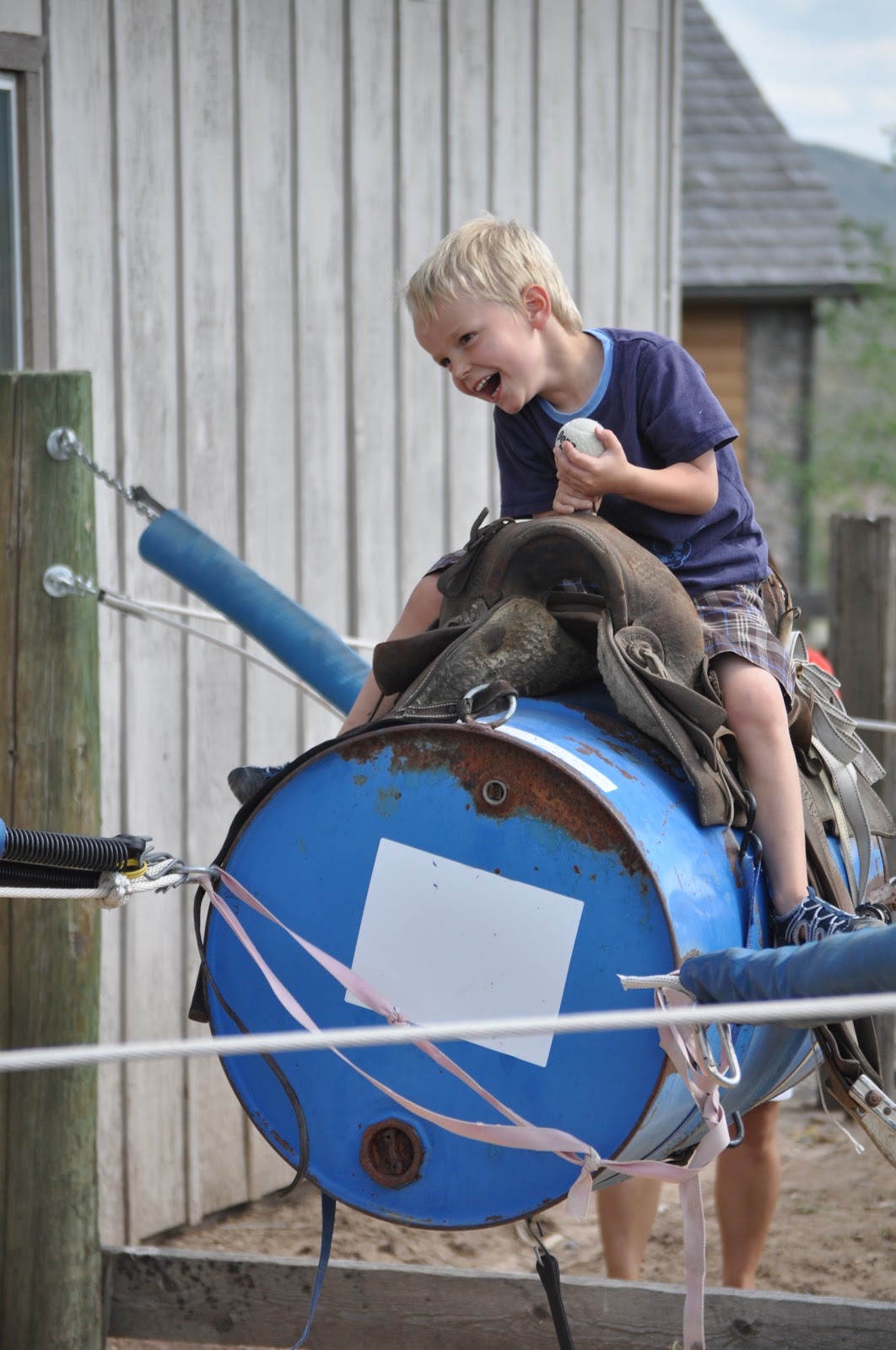 My Daily Comings and Goings: bucking barrel...