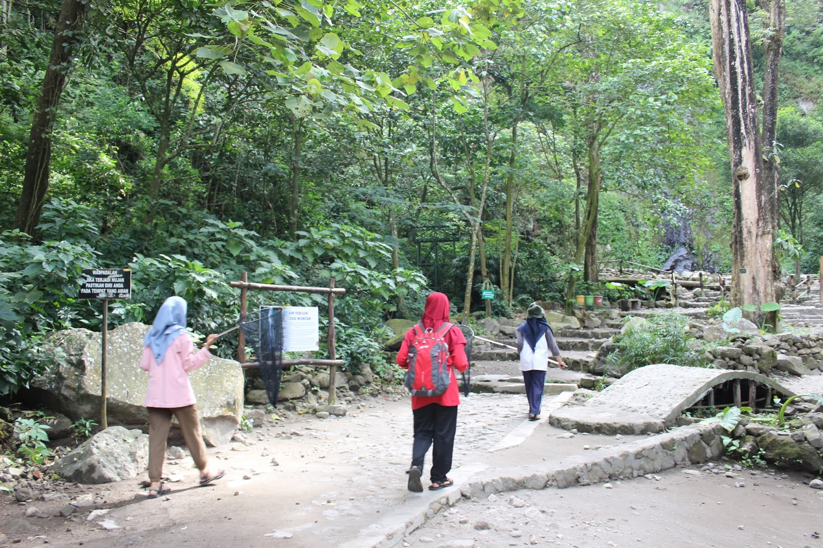 Si Gowang, Ekspedisi Turgo & Plawangan Taman Nasional