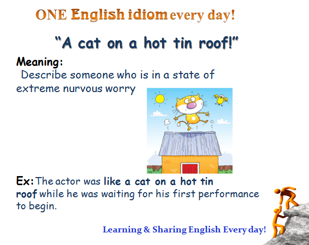 Idioms with roof. Like a Cat on a hot tin Roof идиома. Like a Cat on a hot tin Roof. Like a Cat on hot Bricks. Tin Roof перевод.