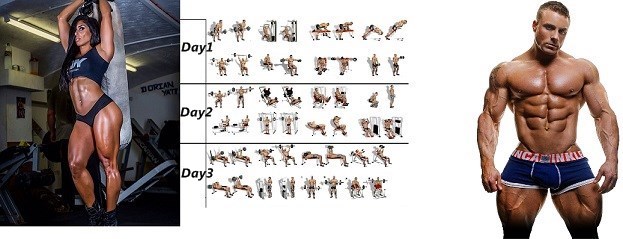 3 Day Workout Split For Beginners For The Best Results 3 Day Workout Split For Beginners For The Best Results