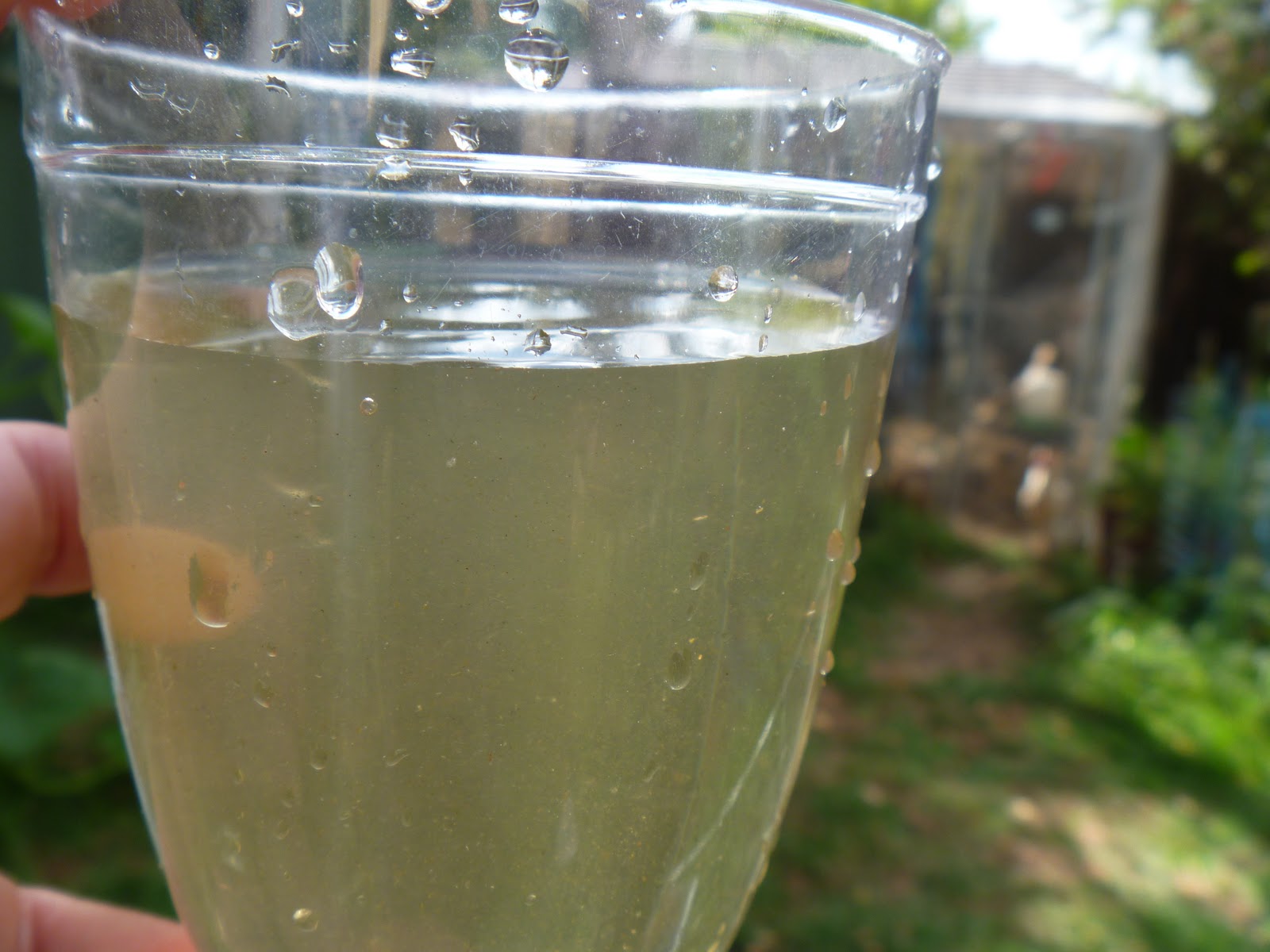 toward sustainability with three kids......: A weed compost tea