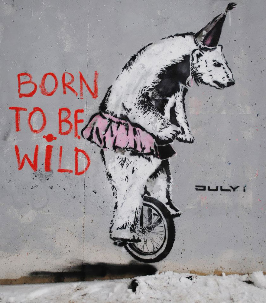 These 30+ Street Art Images Testify Uncomfortable Truths - Born To Be Wild, In The Wild