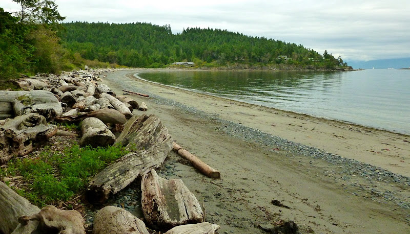 Dombrowski: "...more than a kilometre long... mostly composed of a band of beach logs and fine pebbles leading, at low tide, to a wide stretch of fine, firm sand and tidal pools."(2013-06-01)