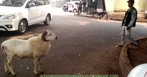 13 Arti Mimpi Dikejar Kambing Putih Berdasarkan Islam Dan Primbon Jawa Yang Lengkap Mimpi Menurut Islam 13 Arti Mimpi Dikejar Kambing Putih Berdasarkan Islam Dan Primbon Jawa Yang Lengkap Mimpi Menurut Islam