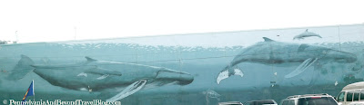 Wyland Whale Wall in Wildwood New Jersey
