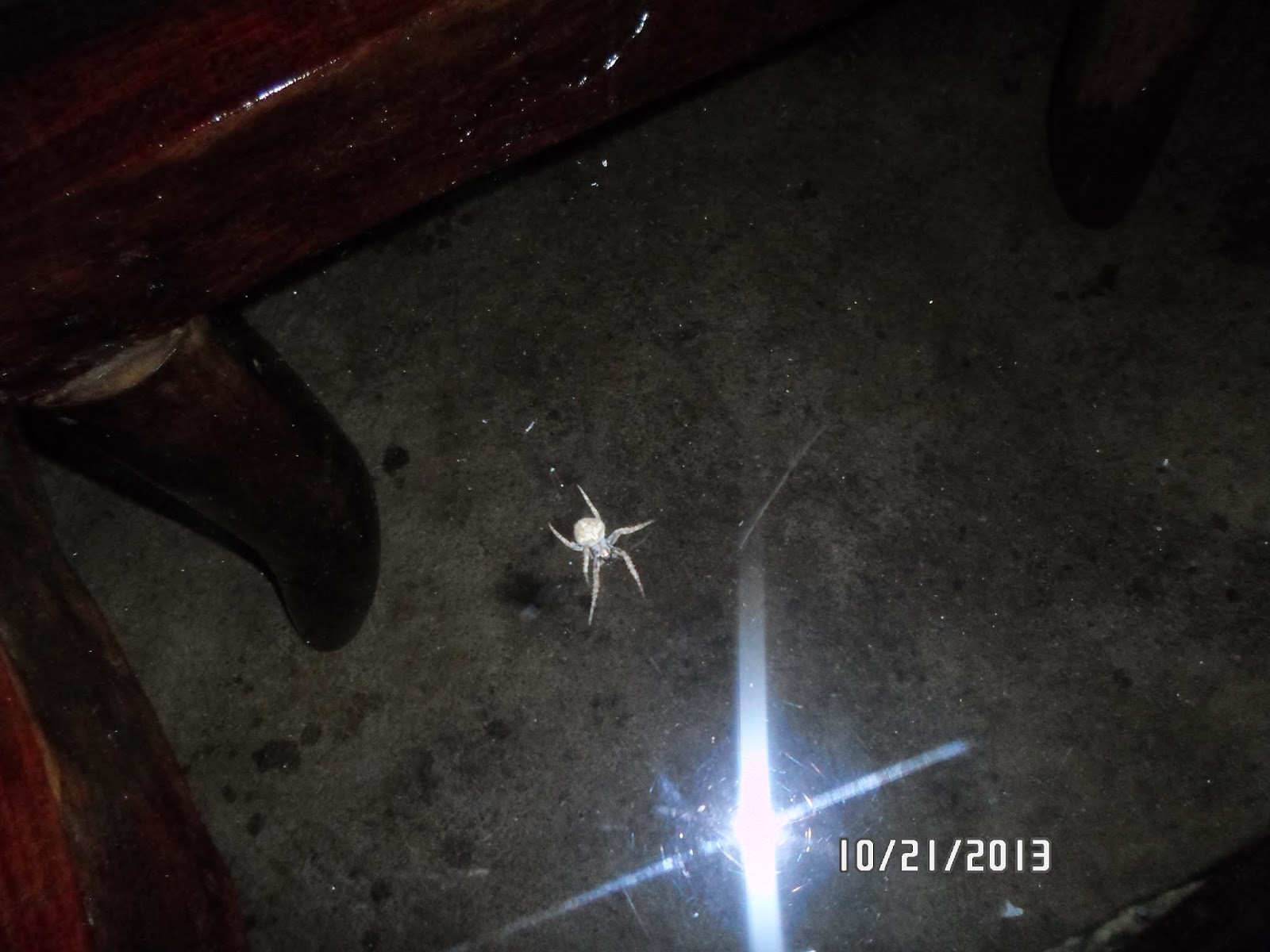 Sister Madison Kramer Another world