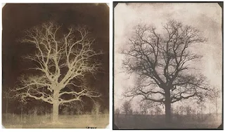 Calotype negative and salted paper print