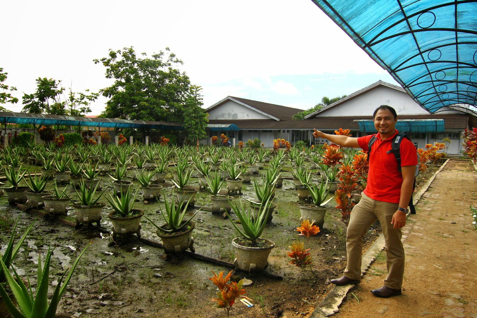 Aloe Vera Centre di bandar Pontianak