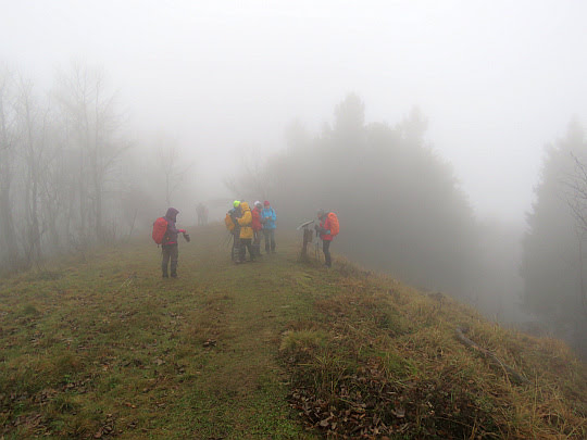 Jaworzyna Konieczniańska (881 m n.p.m.). Jaworzyna Konieczniańska (881 m n.p.m.).