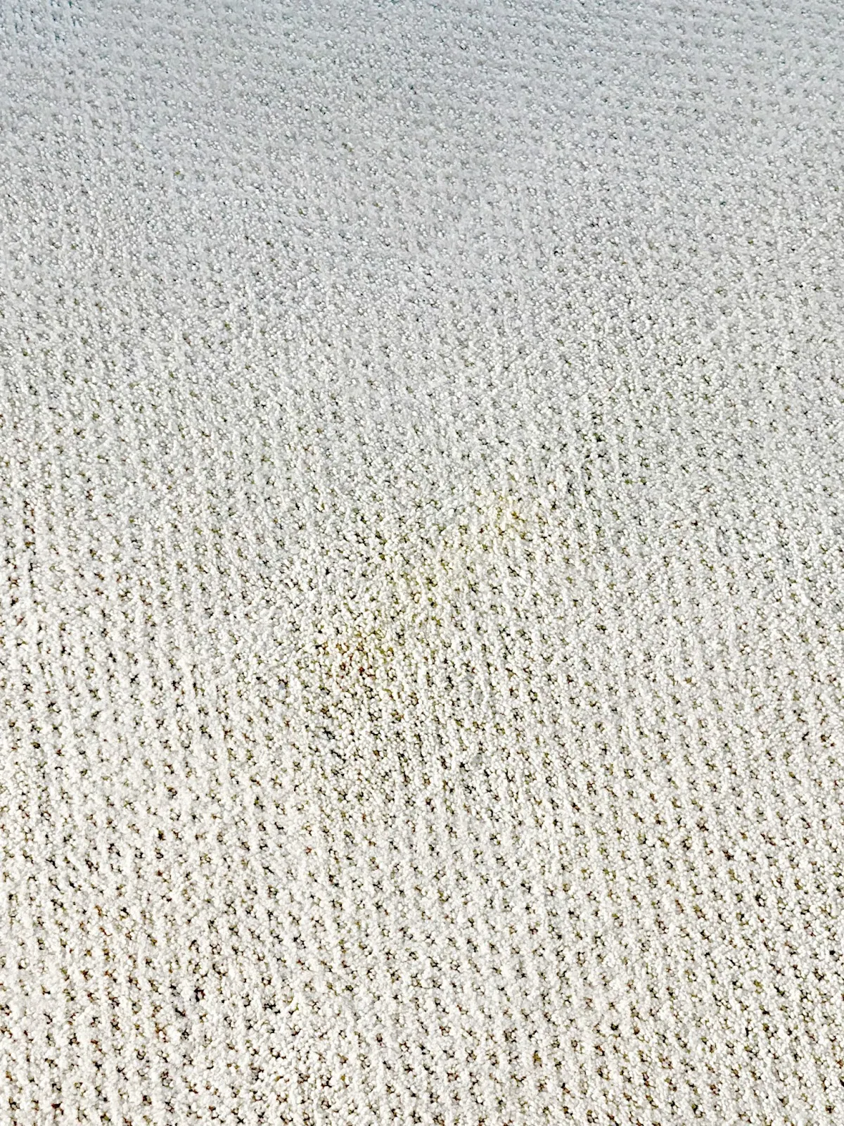 The BEST Pet Stain Remover Thrifty Decor Chick Thrifty DIY, Decor