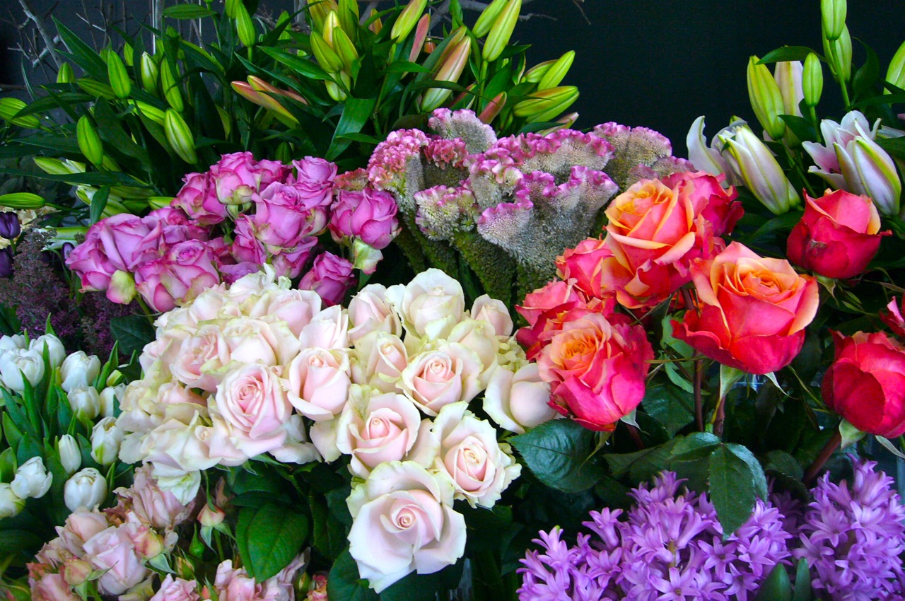 My Darling Darlinghurst: Darlinghurst Blog: Retailers: Rococo Flowers
