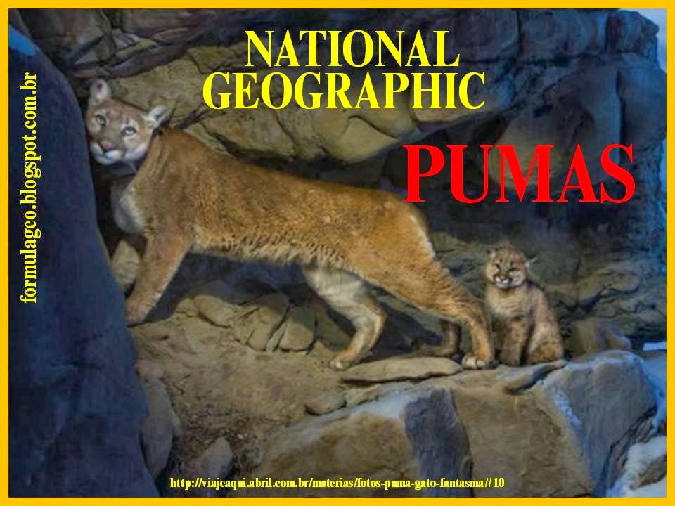 https://sites.google.com/site/magnun0006/Pumas.pptx?attredirects=0&d=1