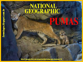 https://sites.google.com/site/magnun0006/Pumas.pptx?attredirects=0&d=1