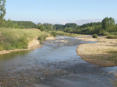 RIO ORBIGO A SU PASO POR HOSPITAL DE ORBIGO