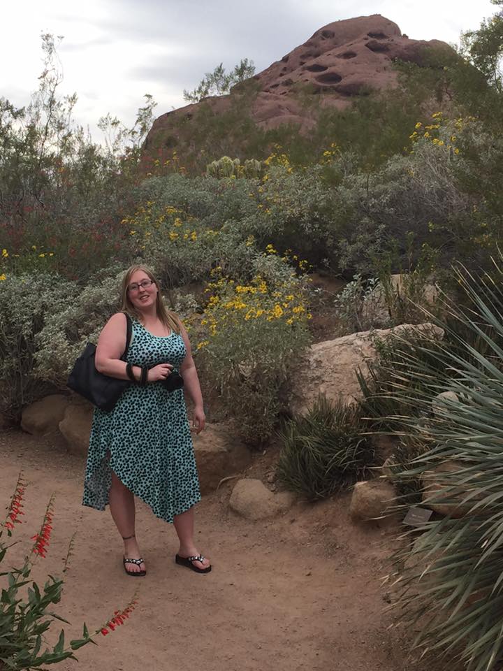Ground Beef and Green Bean Stroganoff Recipe