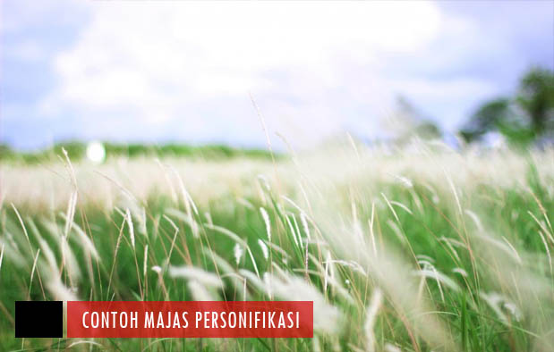 25+ Contoh Majas Personifikasi dan Pengertiannya Lengkap | Contoh Majas Ku