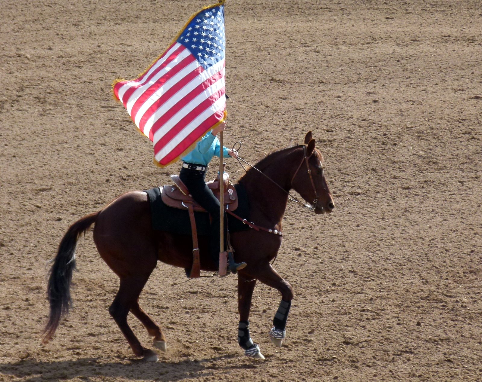 Two Retired Canadians Wickenburg Parade & Rodeo