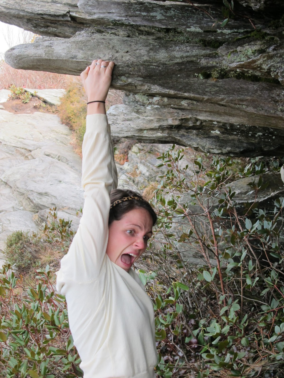 little women cliff notes