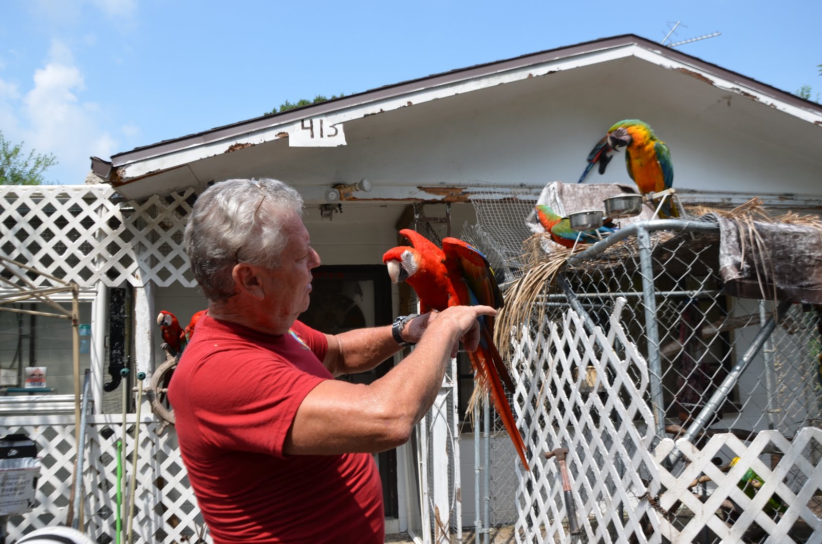 My Photography Blog Photo Opp at The Suncoast Parrot Sanctuary