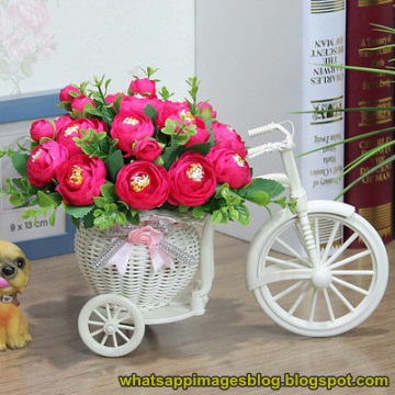 Whatsapp Images Blog: Beautiful Whatsapp DP Images Flowers ...