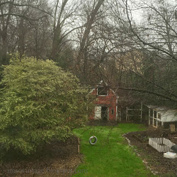 Simple and Serene Living: A RAINY ATLANTA SUNDAY