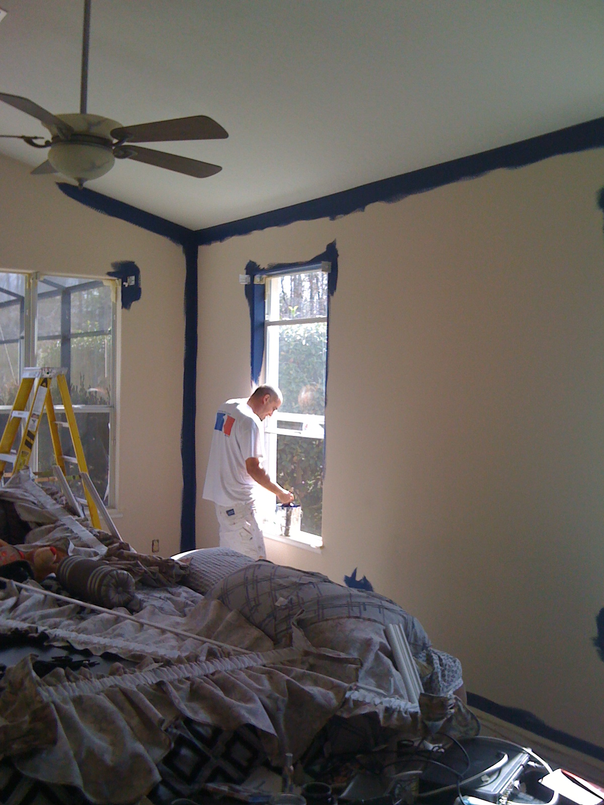 Steve Johnson's Painting Service Servicing East & North Central Florida