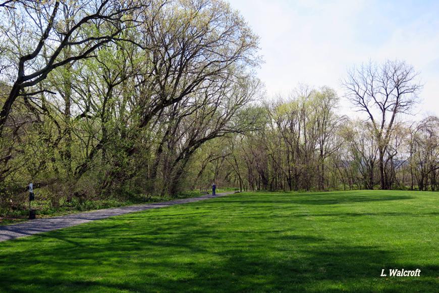 The View from Squirrel Ridge High Water at Strasburg Town Park