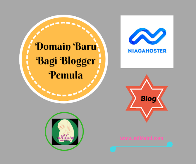 Domain Baru Bagi Blogger Pemula