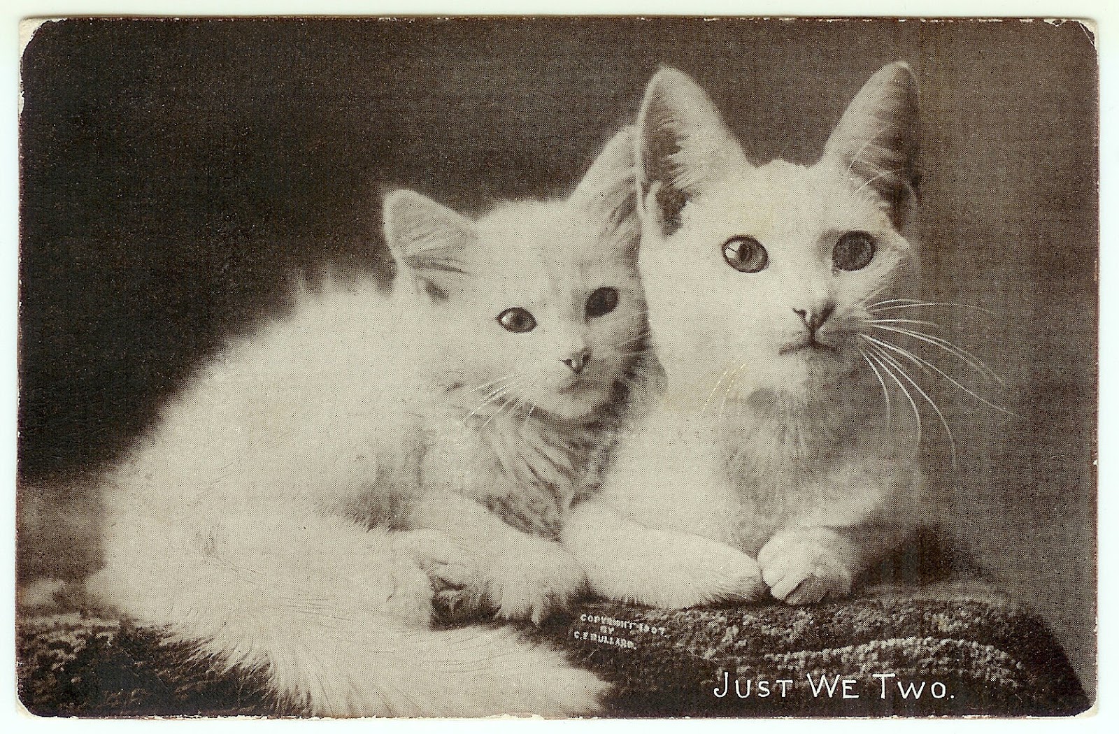 vintage kitten clipart - photo #43