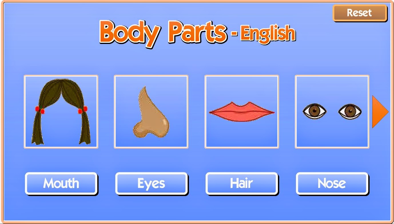 Слово рот на английском. Body Parts. Рот по английскому. Body Parts in English. Mouth c английского.