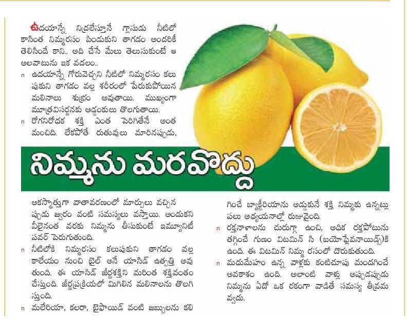 TELUGU WEB WORLD NIMBOO HEALTH TIPS IN TELUGU TELUGU WEB WORLD NIMBOO HEALTH TIPS IN TELUGU