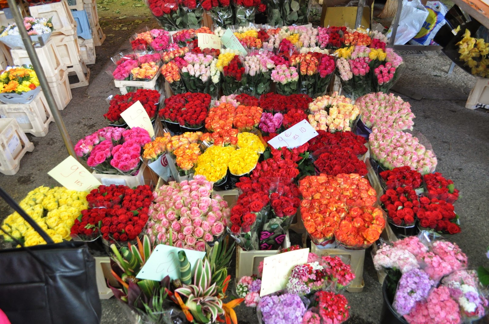 Our House in Provence, the Most Beautiful Region of France SainteCécilelesVignes, home to