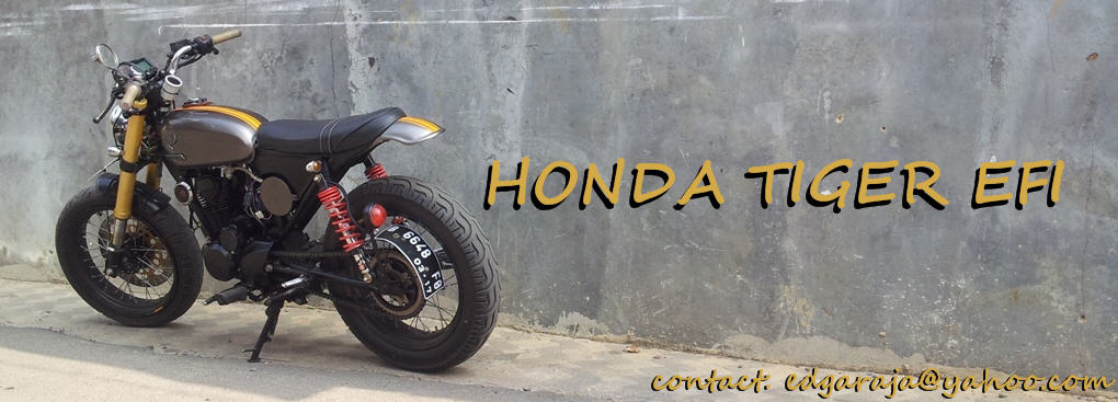 Honda Tiger EFI