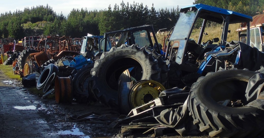 Gecko with Canon Tractor Cemetry.