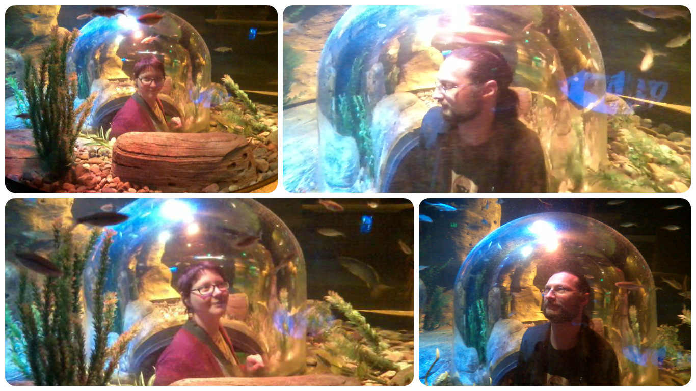 Life from Ann Arbor Sea Life Michigan Aquarium