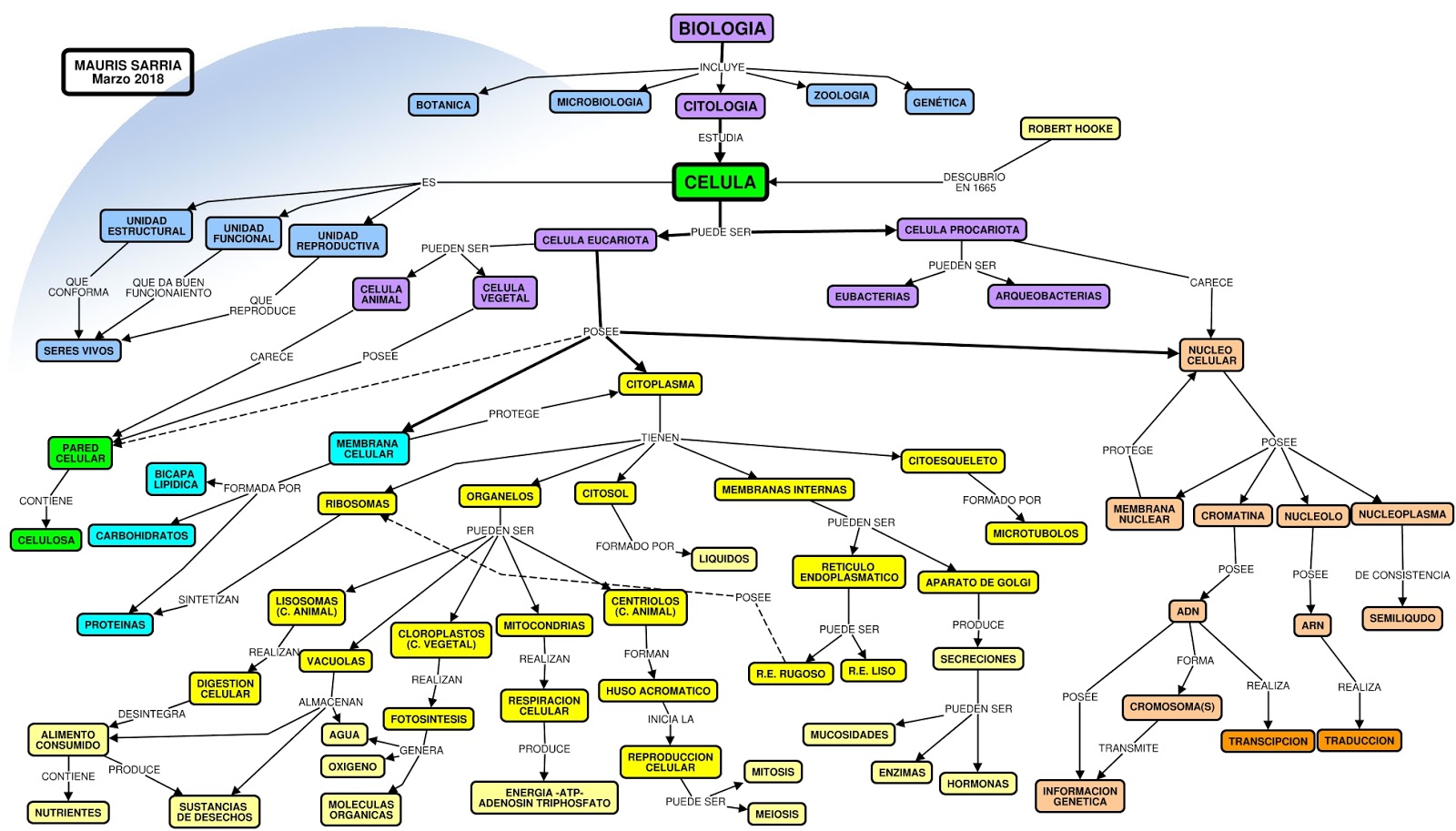 Mapa conceptual biologia