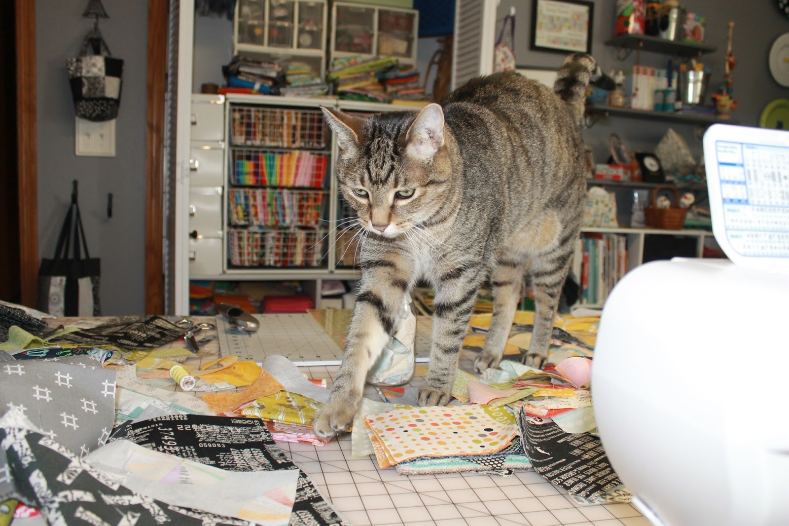 SunShine Sews... Scraps, Scraps and More Scraps