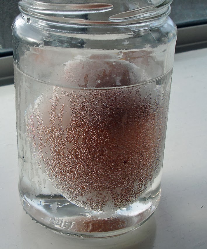 Fifth Class Blog The Effect of an Acid on an Egg