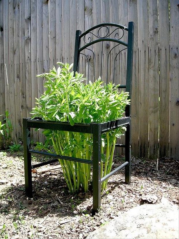 20 Easy and Effective DIY Tricks for Gardening | Do it yourself ideas